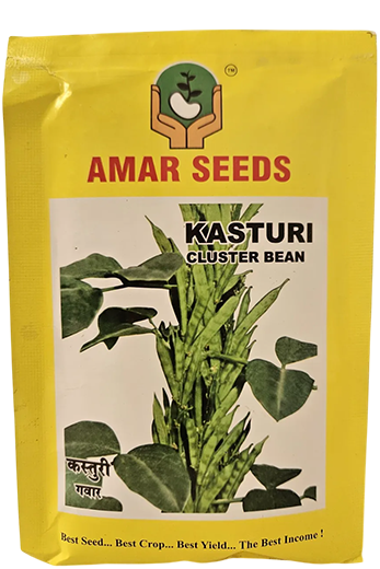 Gaur Amar Kasturi Seeds for High Yield Farming – Dhartibeej
