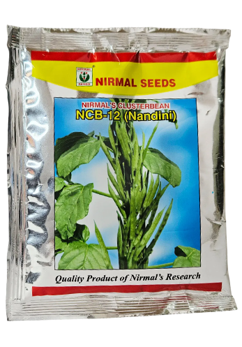 Gaur Nandini-Ncb 12 Seeds Online India – Dhartibeej
