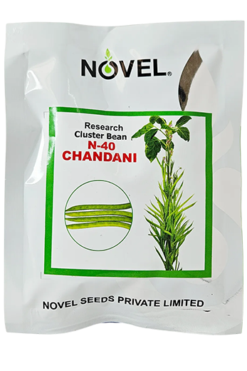 Gaur Novel Ncb 40 Chandani Seeds for High Yield Farming – Dhartibeej
