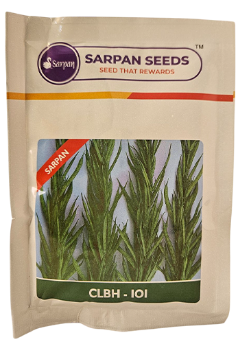 Buy Gaur Sarpan 101 Seeds Online in India – Dhartibeej
