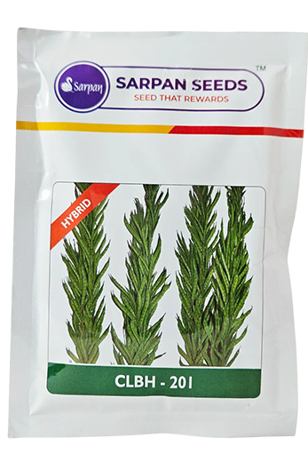 Buy Gaur Sarpan D Clbh 201 Seeds Online in India – Dhartibeej
