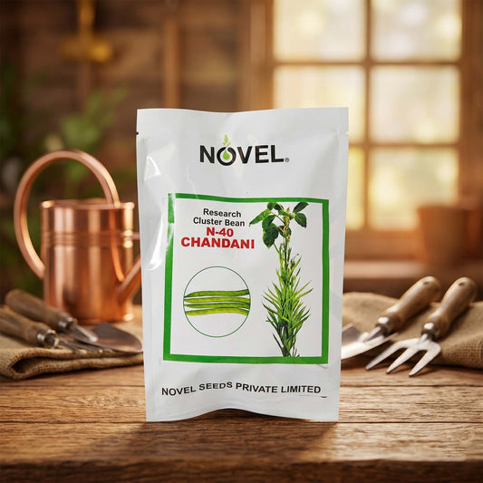 Gaur Novel Ncb 40 Chandani Seeds for High Yield Farming | Dhartibeej