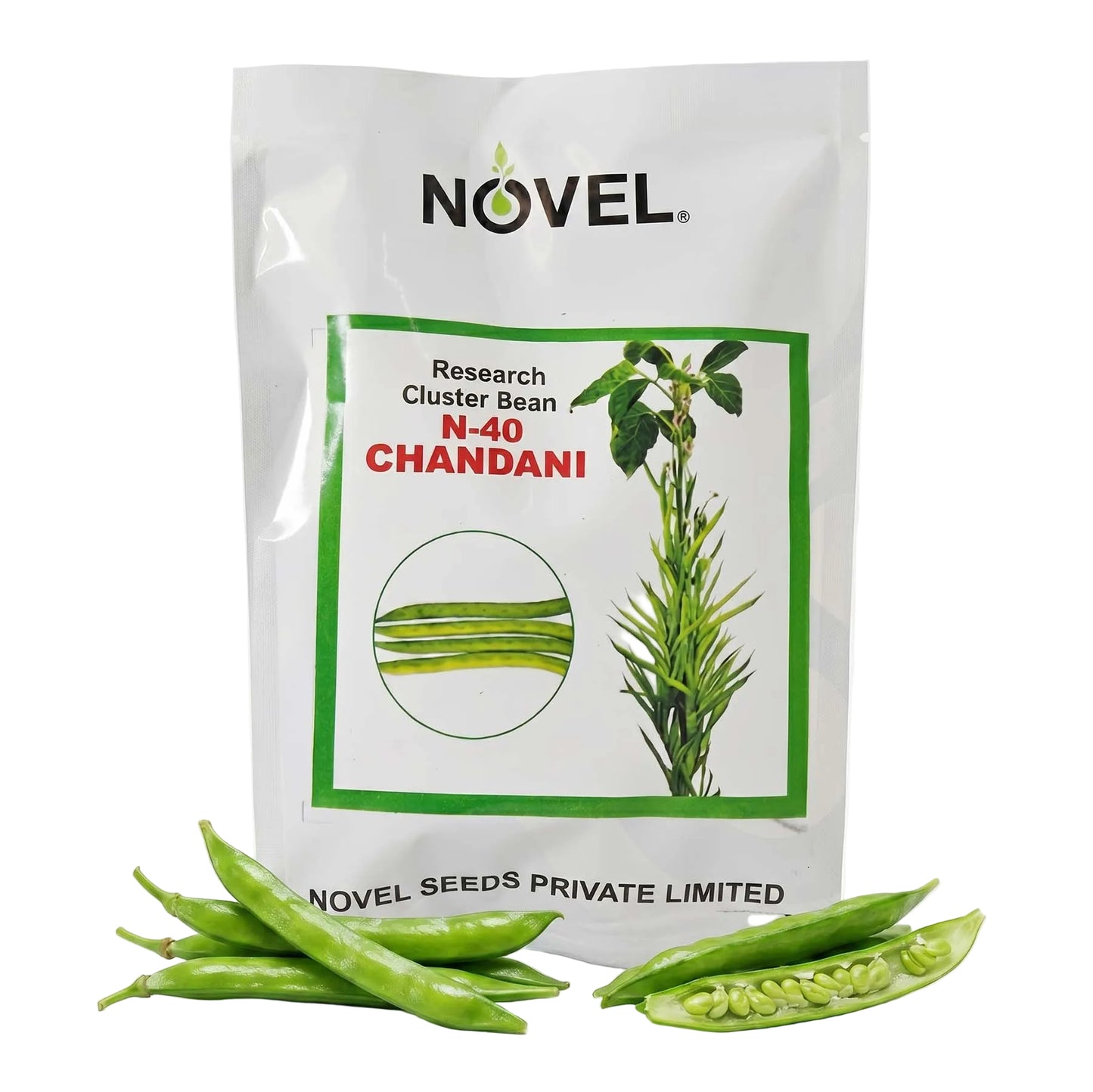 Gaur Novel Ncb 40 Chandani Seeds for High Yield Farming | Dhartibeej