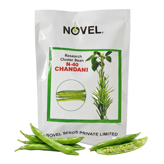 Gaur Novel Ncb 40 Chandani Seeds for High Yield Farming | Dhartibeej