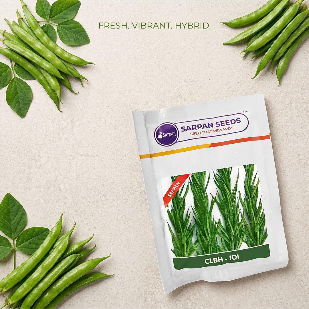 Gaur Sarpan 101 Seeds Online | Dhartibeej