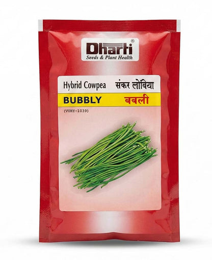 Cowpea Dharti Bubbly Seeds for High Yield Farming | Dhartibeej
