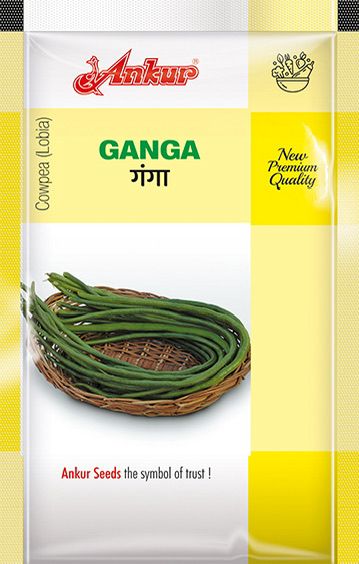 Lobia Ganga Seeds Online | Dhartibeej
