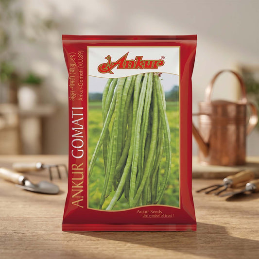 Lobia Gomati Ankur Seeds Online | Dhartibeej