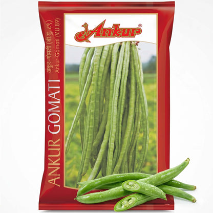 Lobia Gomati Ankur Seeds Online | Dhartibeej