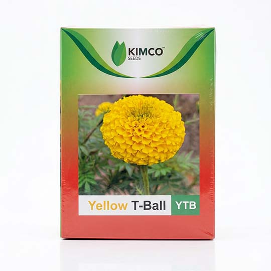 Marigold Kimco Yellow T Ball