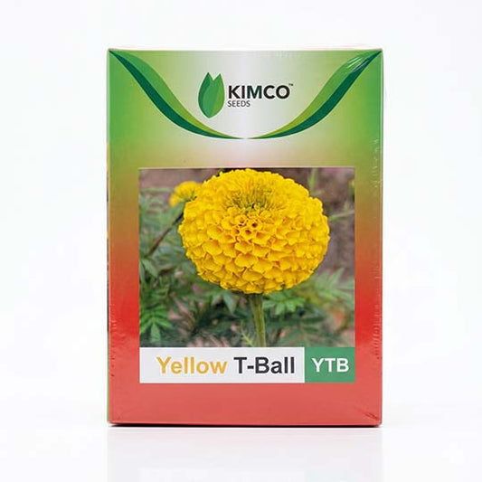 Marigold Kimco Yellow T Ball Flower Seeds Online | Dhartibeej