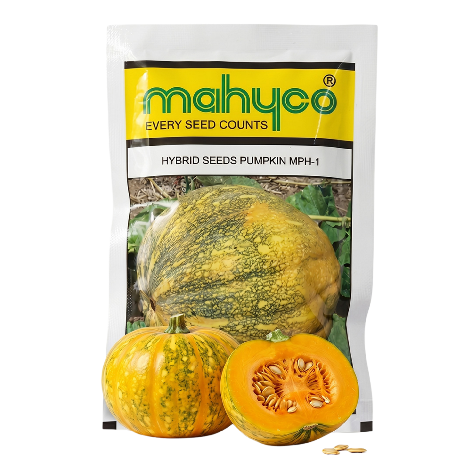 Pumpkin Mahyco Mph-1 Seeds Online | Dhartibeej
