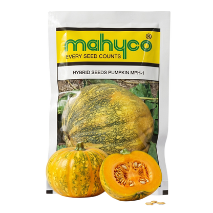 Pumpkin Mahyco Mph-1 Seeds Online | Dhartibeej