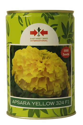 Marigold East West Apsara Yellow Flower Seeds Online India – Dhartibeej
