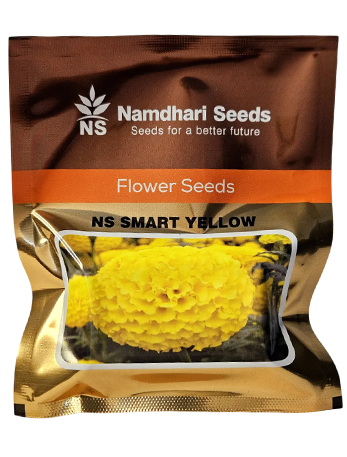 Marigold Ns Smart Yellow Flower Seeds Online India – Dhartibeej
