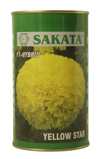 Marigold Sakata Yellow Star Flower Seeds Online India – Dhartibeej
