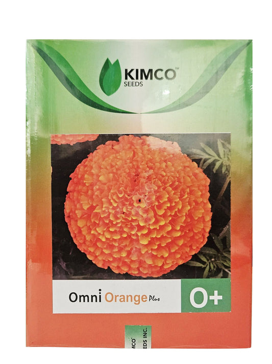 Marigold Kimco Omni Orange Plus Flower Seeds Online | Dhartibeej