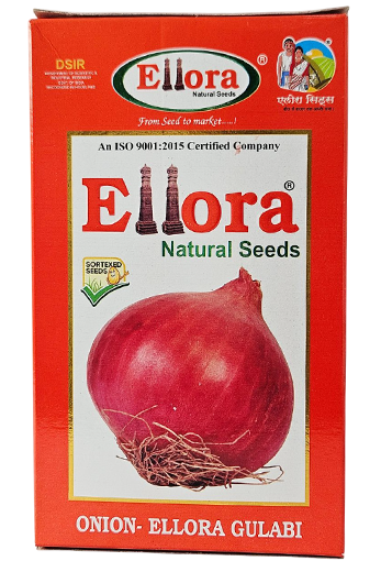 Buy Onion Ellora Gulabi Seeds Online in India – Dhartibeej