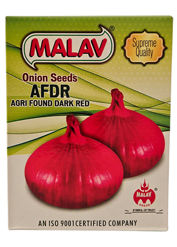 Onion Malav AFDR Seeds Online India – Dhartibeej