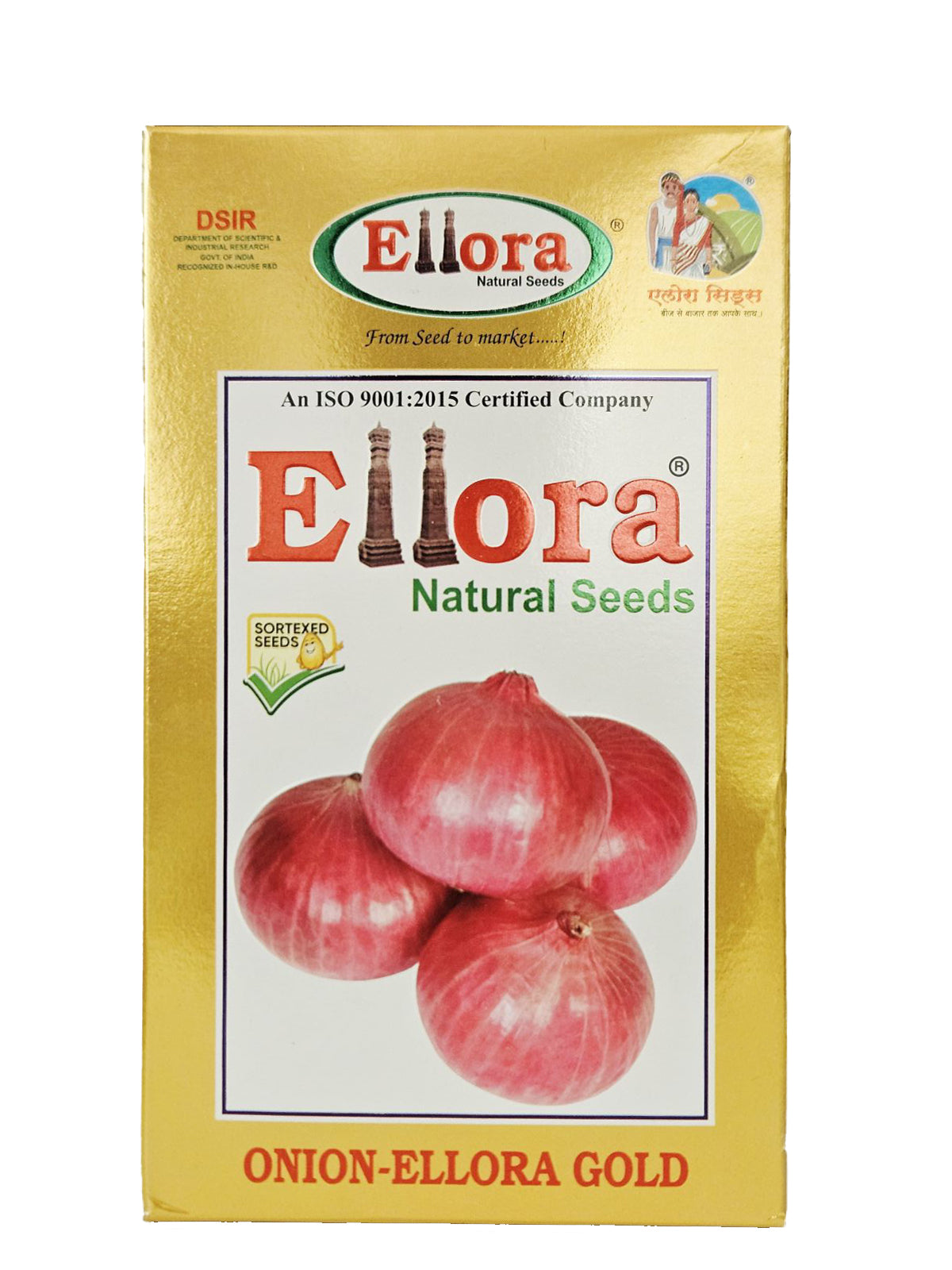 Onion Ellora Gold