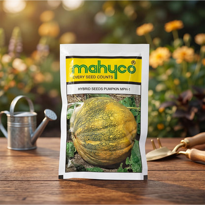 Pumpkin Mahyco Mph-1 Seeds Online | Dhartibeej