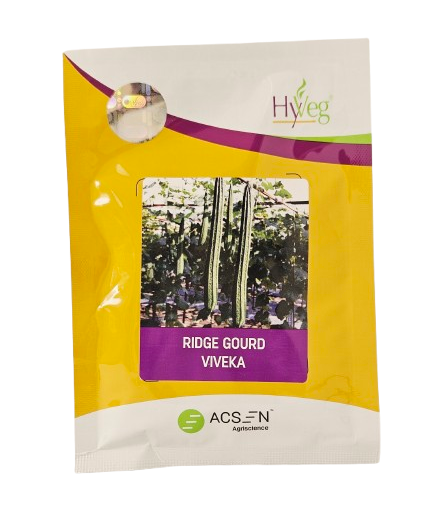 Ridge Gourd Rasi Viveka Seeds Online India – Dhartibeej
