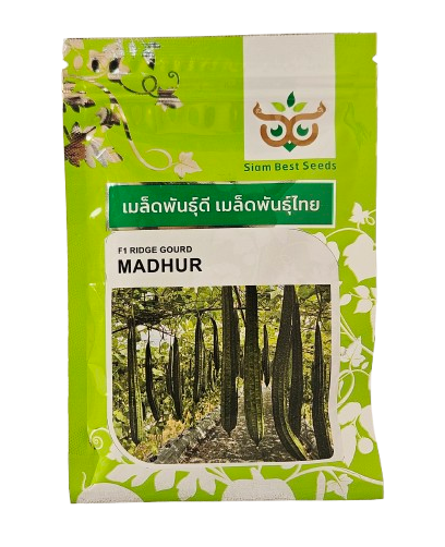 Buy Ridgegourd Siam Madhur Seeds Online in India 