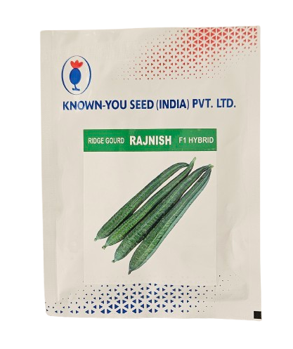 Buy Ridgegourd Known You Rajnish Seeds Online in India – Dhartibeej
