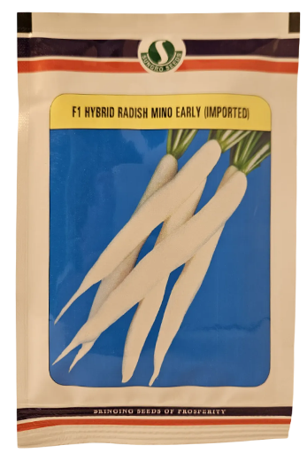 Radish Mahyco Mino Early Seeds for High Yield Farming – Dhartibeej
