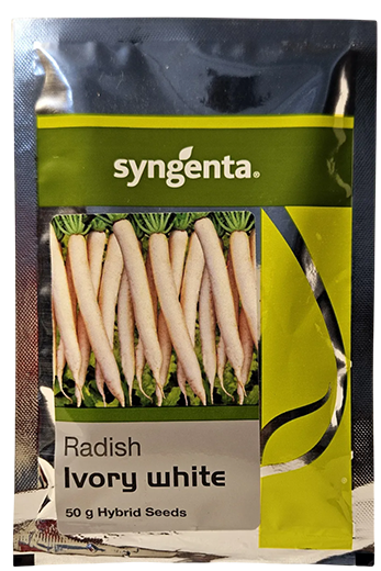 Buy Radish Syn Ivory White Seeds Online in India – Dhartibeej