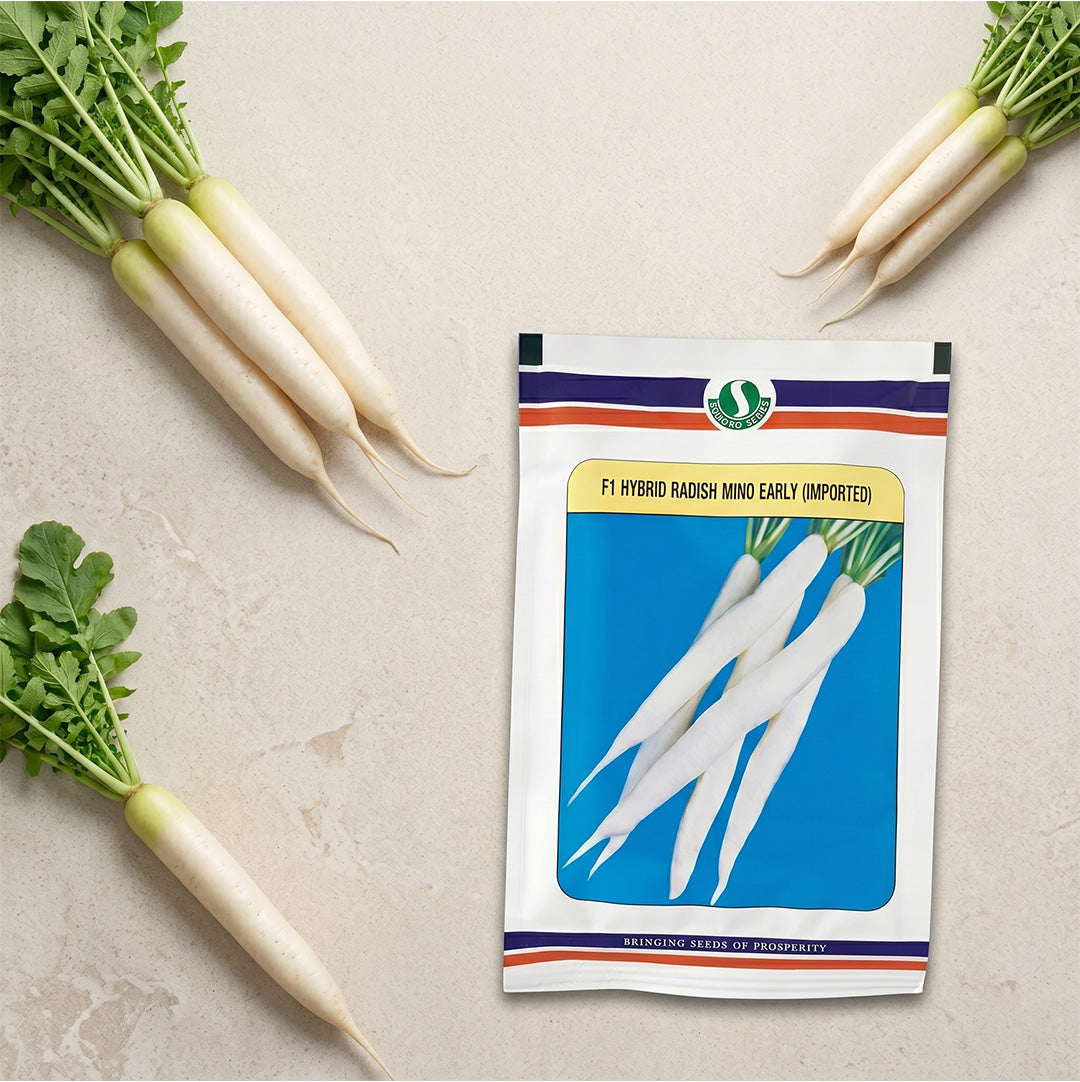 Radish Mahyco Mino Early Seeds for High Yield Farming | Dhartibeej
