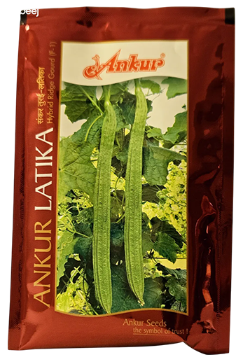 Ridgegourd Ankur Latika