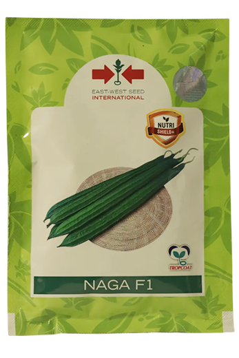 Ridgegourd East West Naga F1