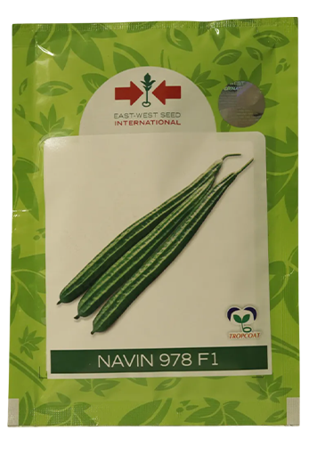 Ridgegourd East West Navin 978 F1 Seeds for High Yield Farming – Dhartibeej

