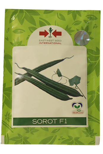 Ridgegourd East West Sorot F1 Seeds for High Yield Farming – Dhartibeej

