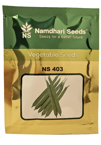 Ridgegourd Ns-403