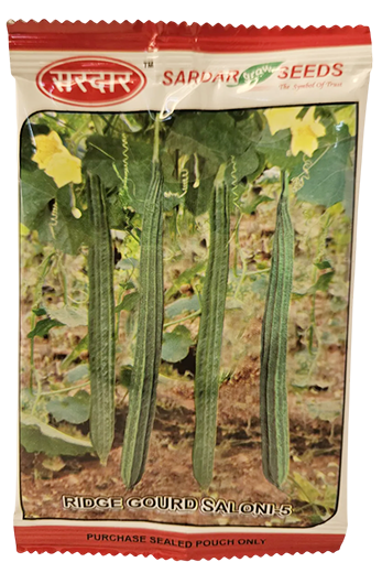 Ridgegourd Sardar Saloni Seeds for High Yield Farming – Dhartibeej

