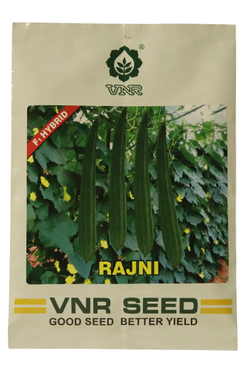 रिजगॉर्ड व्हीएनआर रजनी