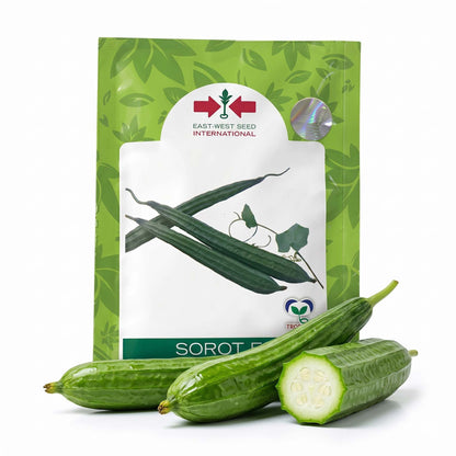 Ridgegourd East West Sorot F1 Seeds for High Yield Farming | Dhartibeej