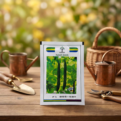 Ridgegourd Kalash Bss 580 Seeds for High Yield Farming | Dhartibeej