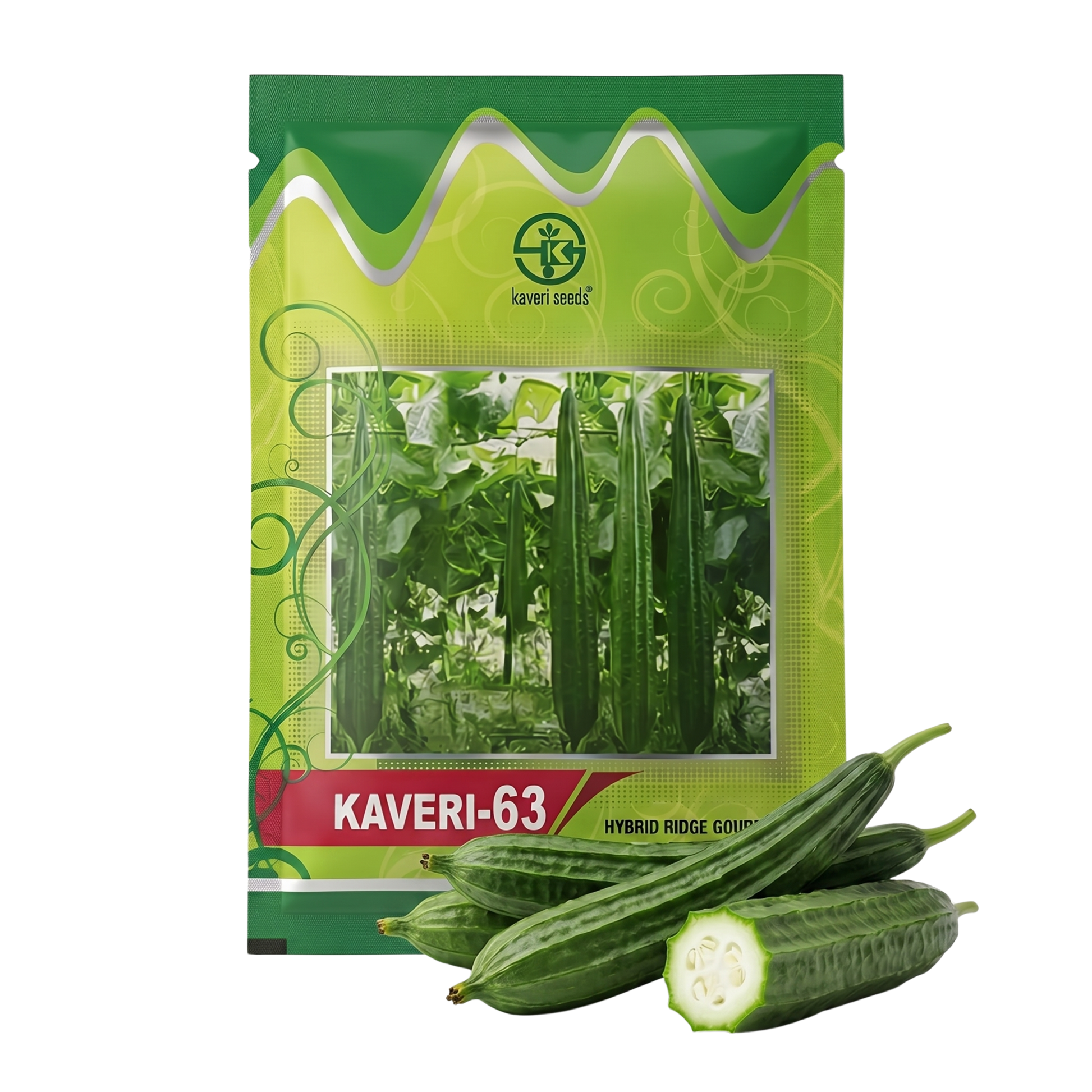 Ridgegourd Kaveri-63 Seeds for High Yield Farming | Dhartibeej