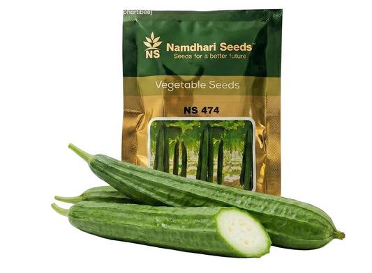 Ridgegourd Ns 474 Seeds Online | Dhartibeej