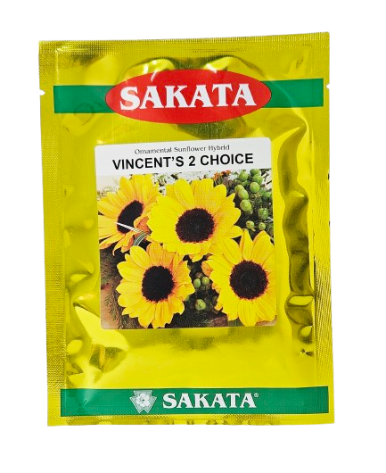Sunflower Sakata Vincent 2 Choice Seeds for High Yield Farming – Dhartibeej
