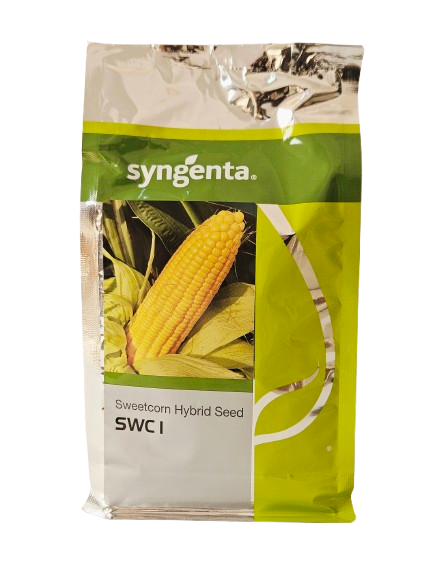 Buy Sweetcorn Syn Swc 1 Seeds Online in India – Dhartibeej
