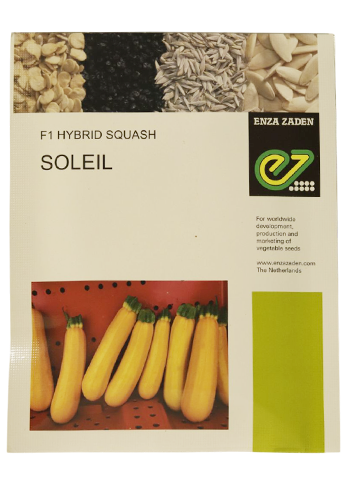 Buy Squash Enza Soleil Seeds Online in India – Dhartibeej