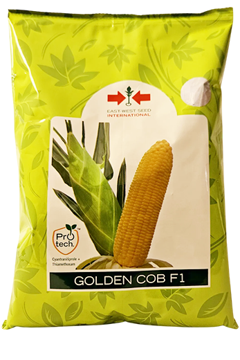 Buy Sweetcorn East West Golden Cob Seeds Online in India – Dhartibeej