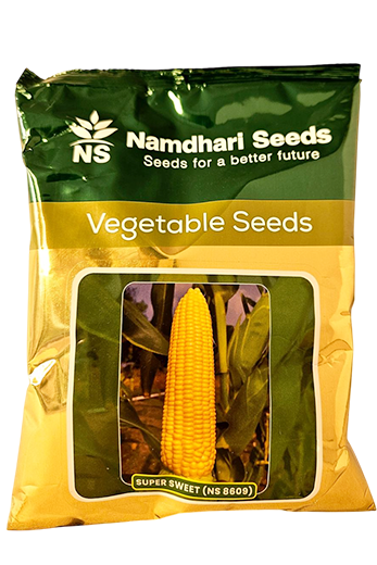 Sweetcorn Ns Super Sweet (Ns8609) Seeds for High Yield Farming – Dhartibeej

