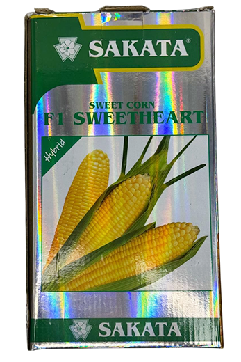 Buy Sweetcorn Sakata Sweet Heart Seeds Online in India – Dhartibeej
