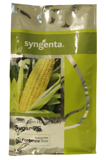 Buy Sweetcorn Syn Sugar -75 Seeds Online in India – Dhartibeej
