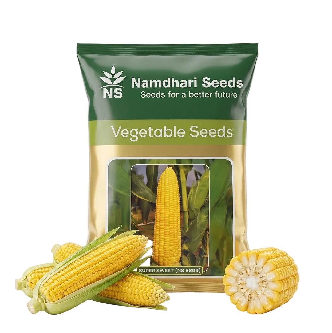 Sweetcorn Ns Super Sweet (Ns8609) Seeds for High Yield Farming | Dhartibeej